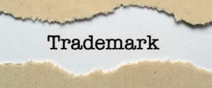 Trademarks and Word Mark Classification
